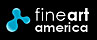 Fine Art America - online gallery and shop